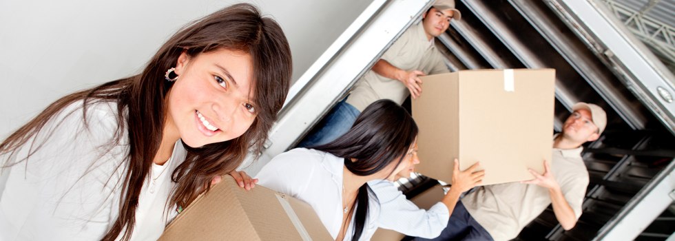 Professional Removalists Concord West